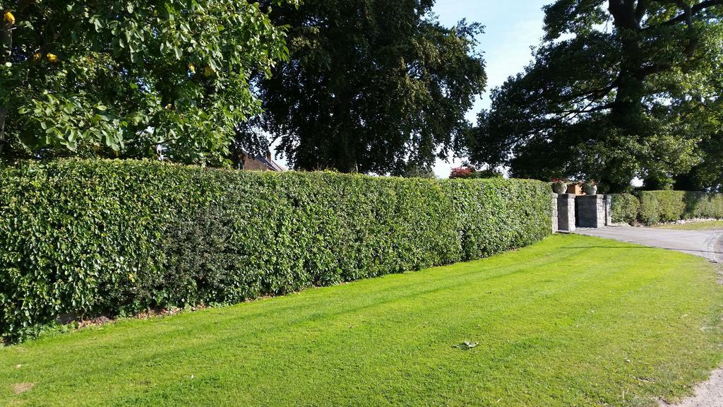 Ty Derw Country House B&B Ruthin Exterior foto