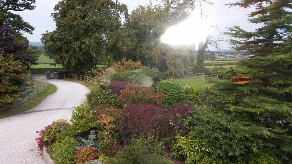 Ty Derw Country House B&B Ruthin Quarto foto